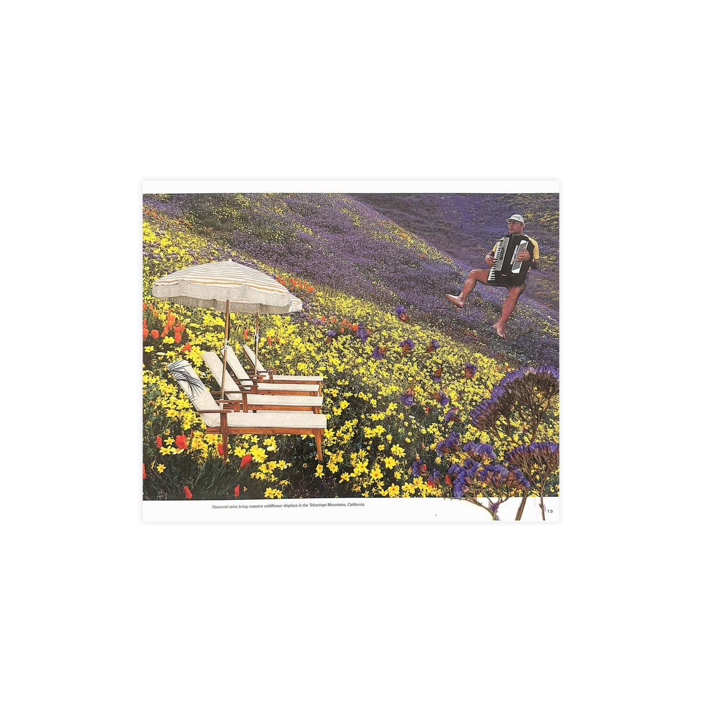 The Hills Are Alive | Collage Print