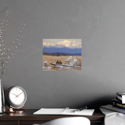 Snowy Owl Collage Poster – Wildlife Wall Art