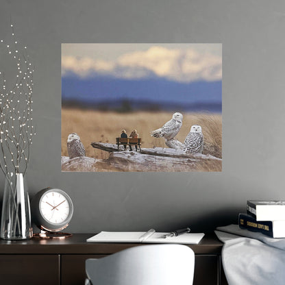 Snowy Owl Collage Poster – Wildlife Wall Art