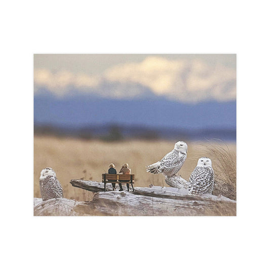 Snowy Owl Collage Poster – Wildlife Wall Art