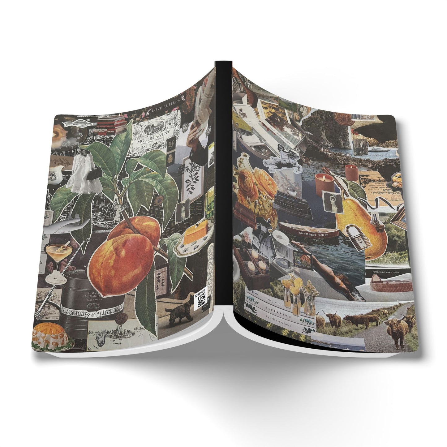 Peaches & Daydreams | Softcover Journal