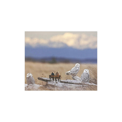 Snowy Owl Collage Poster – Wildlife Wall Art